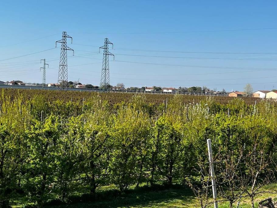 Sotto La Luna Casa In Campagna Castel Bolognese Extérieur photo