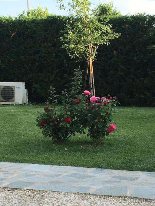 Sotto La Luna Casa In Campagna Castel Bolognese Extérieur photo