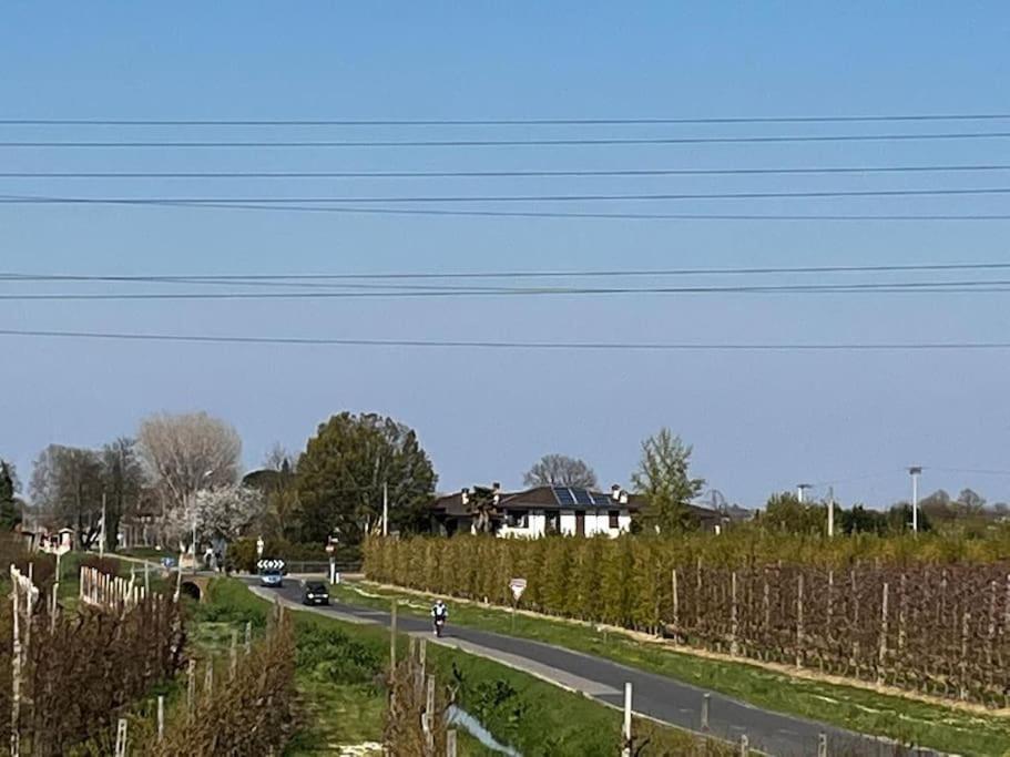Sotto La Luna Casa In Campagna Castel Bolognese Extérieur photo