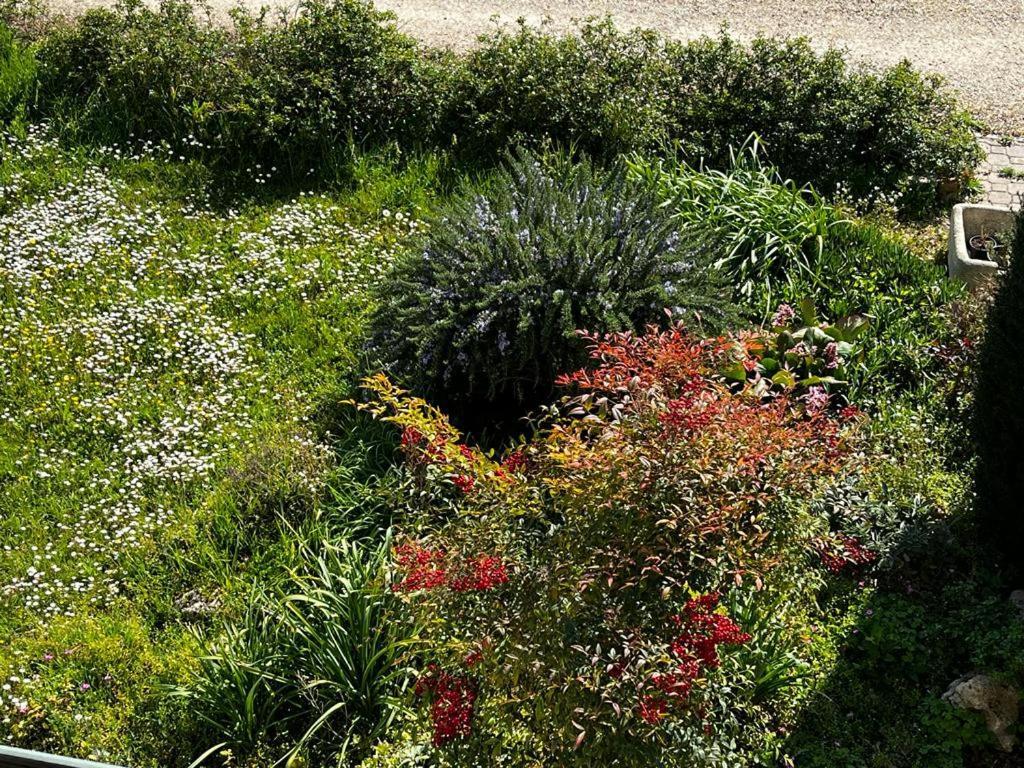 Sotto La Luna Casa In Campagna Castel Bolognese Extérieur photo